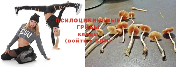 индика Балахна