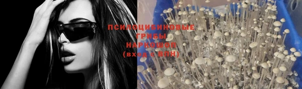 индика Балахна