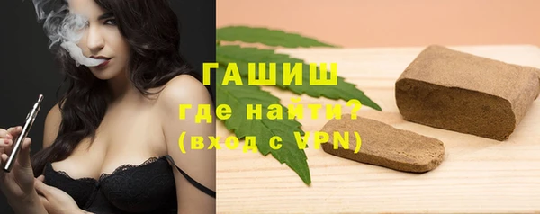 индика Балахна