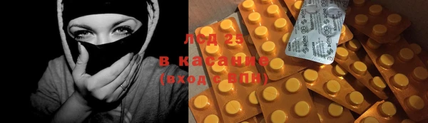 индика Балахна
