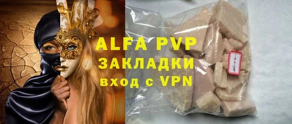 индика Балахна
