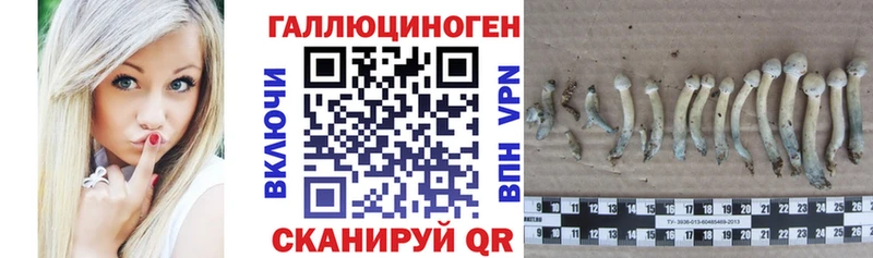 Галлюциногенные грибы MAGIC MUSHROOMS  цены   Горбатов 