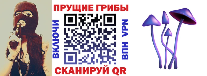Псилоцибиновые грибы мицелий Горбатов