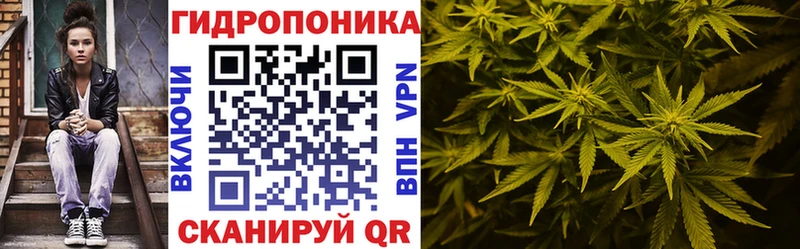 Бошки Шишки THC 21%  цена   Горбатов 